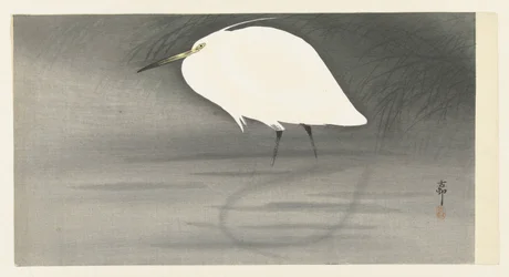 egret