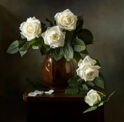 Elegante hvite roser