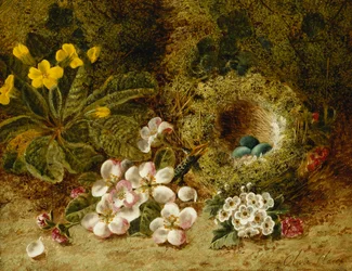 Epleblomster, et Primrose- og fuglerede på en mosegrodd bank,