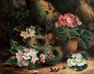 Epleblomster og primulaer. Maleri av Oliver Clare (ca. 1853–1927). Privat samling.