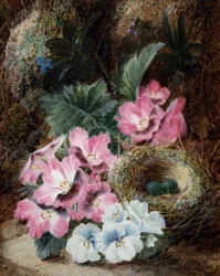 Stilleben med fuglerede og fioler. Maleri av Oliver Clare (ca. 1853–1927). Privat samling.