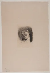 Et hundehode