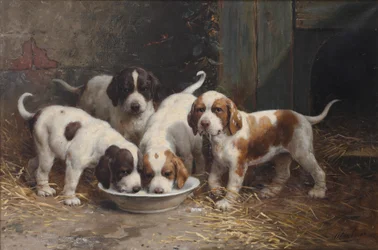 Saint Bernard-valper som drikker melk (olje på lerret)
