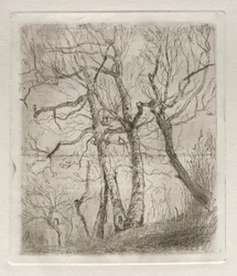 Trær, 1878.