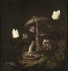 En #39;sotto bosco#39; med sopp, sommerfugler, en øyenstikker, en slange og en øgle (olje på lerret)