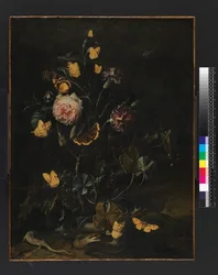 Blomster, insekter og krypdyr, 1673