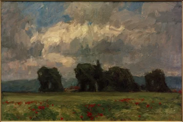 Mørkt poppellandskap med valmuer