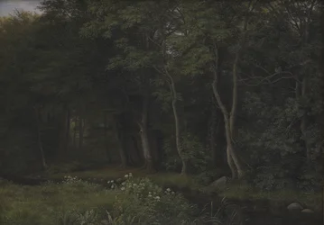 Twilight Setting in a Wood nær Iselingen Manor, Zealand