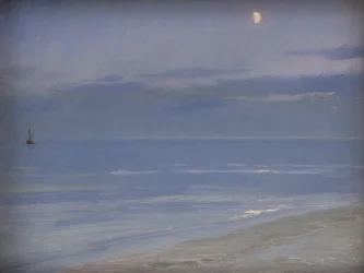 Skagen-stranden i måneskinn