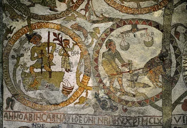 Stjernetegnene fra mosaikkgulvet i katedralen i Otranto (mosaikk)