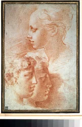 "Etude de tetes" (Studium av hodene). Ansiktsprofil av ung jente og gutter. Tegning av Girolamo Francesco Maria Mazzola eller Mazzuoli dit il Parmigianino (The Parmesan
