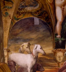 Gruppe med hunder, fra Myth of Diana and Actaeon