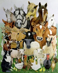 Animal Allsorts (akryl på kaliko)