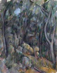 In the Grounds of Chateau Noir - Cezanne, Paul (1839-1906) The Grounds of the Chateau Noir Olje på lerret um 1900-1904 National Gallery, London 90,7x71,4