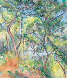Glades, ca. 1894