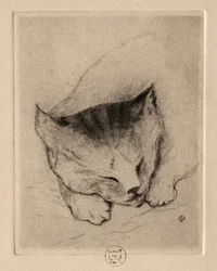 Six Etchings: Head of a Kitten, 1895.