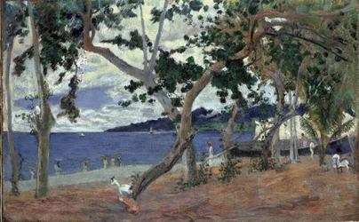 Ved kysten, Martinique par Gauguin, Paul Eugene Henri (1848-1903). Olje på lerret, størrelse: 54x90