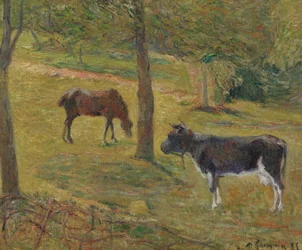 Ku og hest på engen