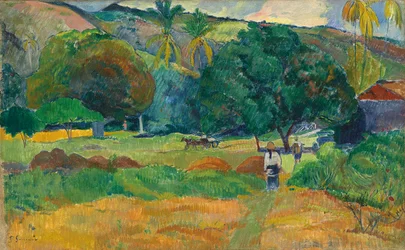 The Valley, 1892