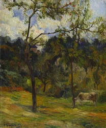 Normandie-landskap: Cow in a Meadow, 1884