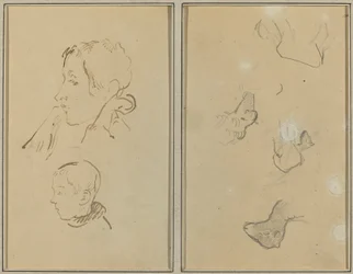To hoder; Studier av sauer [recto]
