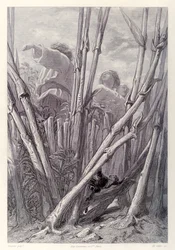 Gulliver ser gårdsarbeidere så høye som tårn og gjemmer seg i en hveteåker, fra den franske utgaven av Gullivers Travels av Jonathan Swift