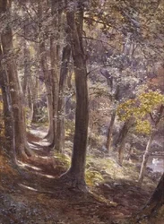 En Woodland Glade