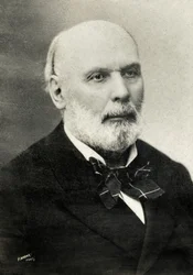 Portrett av Jules Grevy (bilde)