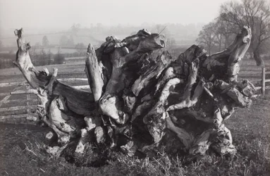 «Laocoon», Carswalls gård, Newent, Gloucestershire