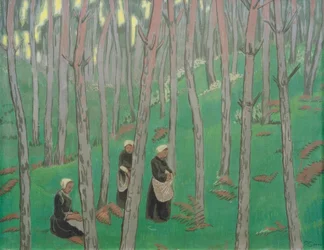 Soppsamlere i skogen