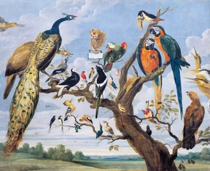 Konsert med fugler, av Paul de Vos (cirka 1591-1678), Nederland