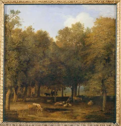 Haagskogen. 1650 …