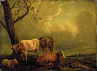 Storfe og sauer