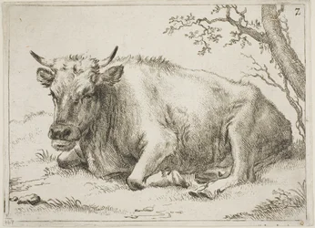 Ku som ligger ved siden av et tre, plate 7 fra Åtte okser og kyr