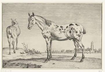 Den forankrede hesten Hester (serietittel)
