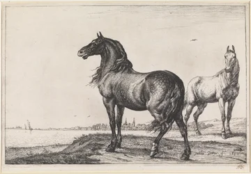 Vrinskende hest