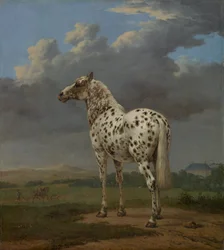 Flekkete hest, ca. 1654