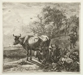 Kuherden.