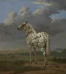 The "Piebald" Horse, ca. 1650-4 (olje på lerret)