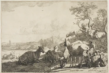 Hyrden