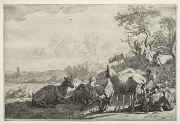 Hyrden