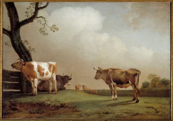 Engen En flokk med kyr i en pre. Maleri av Paul Potter (1625-1654) 1652 Søn. 0,84x1,21 m