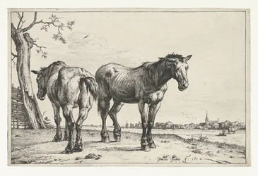 To ploghester Hester (serietittel)