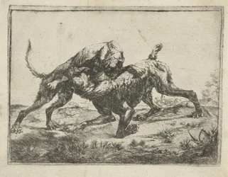 kamphunder
