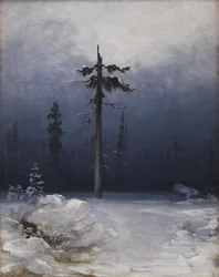 Tre i en vinterlig skog