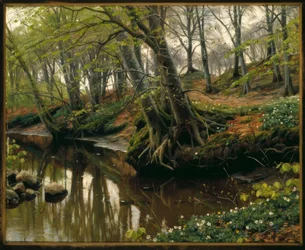 Vårdag i utkanten av skog