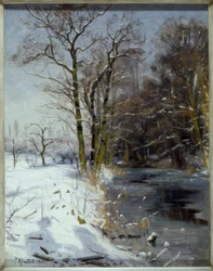 Solrik vinterdag