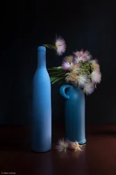 Botaniske blå- og rosatoner