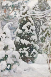 Einer i snø
