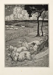 A Canine Sheep Stealer, fra A Hundred Anecdotes of Animals, pub. 1924